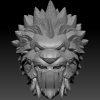 Lion helmet x5
