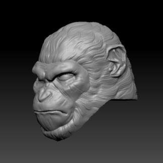 Chimpanzee Head x5 - Image 2
