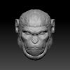 Chimpanzee Head x5