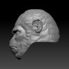 Chimpanzee Head x5 - Image 3