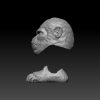 Kit Plunderling Chimp - Image 3