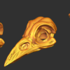 Skeleton Head (bird)