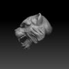 Tiger Head - Roar (BifCo Retool) - Image 3