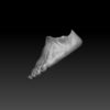 Bare Feet (BifCo exclusive) - Image 3