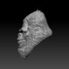 Big Foot Head - Smiling - Image 3
