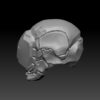 Cosmic Head - 13 (BifCo Exclusive) - Image 3