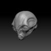 Cosmic Head - 16 (BifCo Exclusive) - Image 2