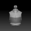 Goblin Lord Torso (BifCo Exclusive)