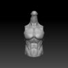 Male nude muscle torso for 2.0