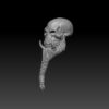 Skeleton Head - Jowan (BifCo Retool) - Image 2