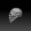 Vampire Head (Black Forge Studios) - Image 3