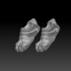 Lion Legion Captain Feet - Image 2