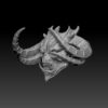 Chaoz Head - Image 2