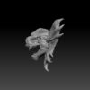 Dinosaur Head - Image 3