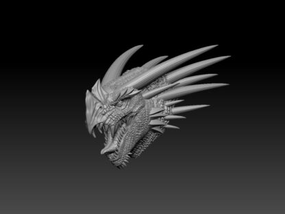 Kameki Dragon Head - Image 2