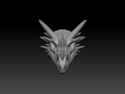 Kameki Dragon Head