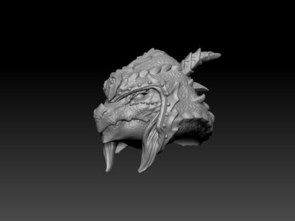 Female Dragonborn Rogue Head for 2.0 - Image 2