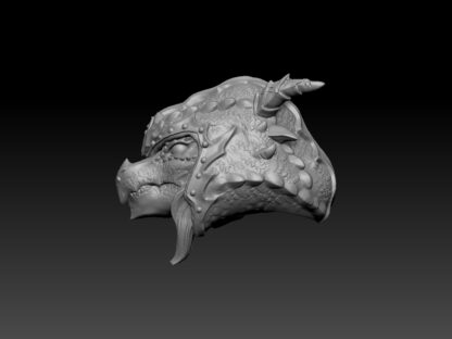 Female Dragonborn Rogue Head for 2.0 - Image 3