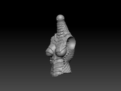 Female Dragonborn Sorcerer Torso for 2.0 - Image 2