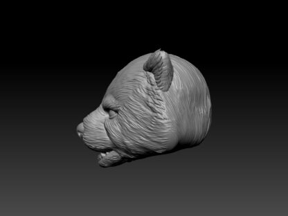 Red Panda Head (BifCo Retool) - Image 3