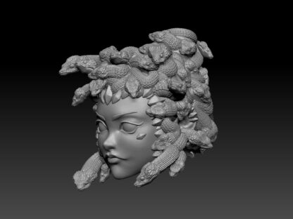 Medusa head for 2.0 (more hair) - Image 2