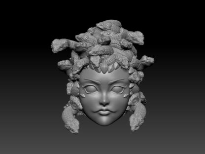 Medusa head for 2.0 (more hair)