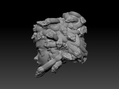 Medusa head for 2.0 (more hair) - Image 3