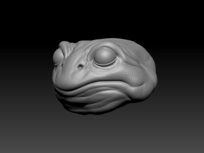 Frog Head - Image 2
