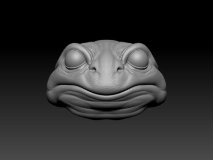Frog Head