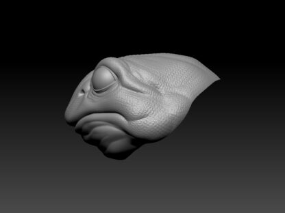Frog Head - Image 3