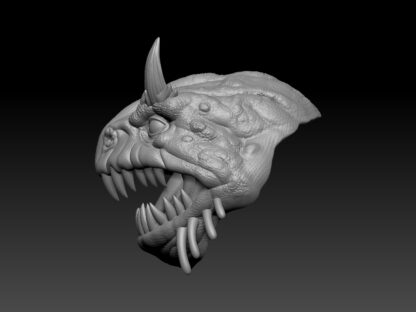Horned Toad Head - Image 3