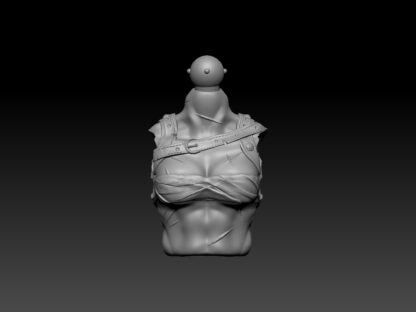 Female Gladiator 1.0 - Murmillo Torso