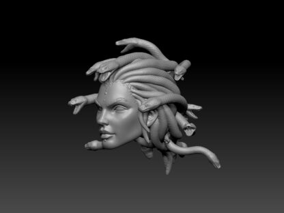 Medusa Head (BifCo Retool) - Image 2