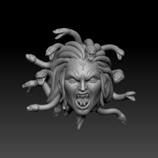 Medusa Head - Transformed (BifCo Retool)